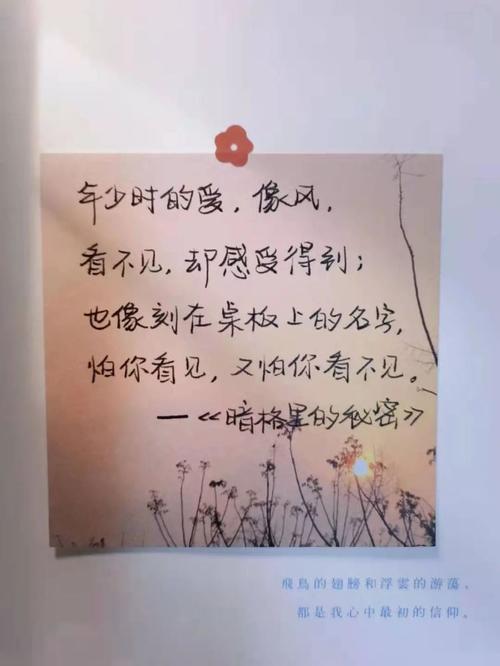 因为他说:“彼方尚有荣光在”