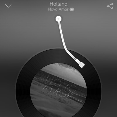 
Holland -从未拥有