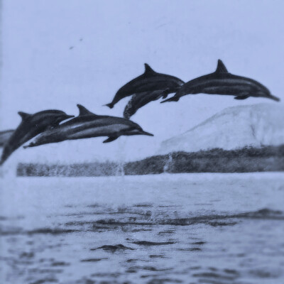 1996…神、从没有过爱 别痴迷。