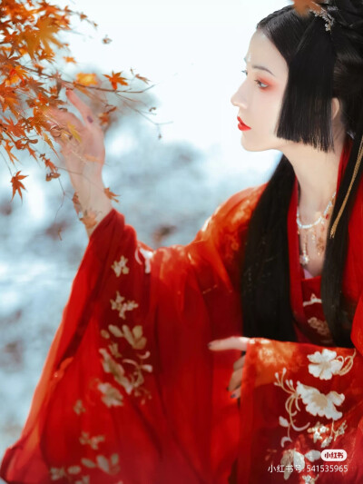 红枫