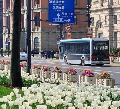 今晚的风是杜鹃花香
背景图
侵删致歉