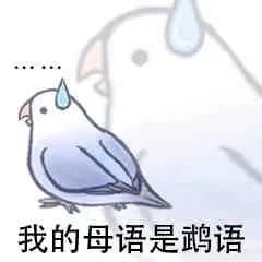 牡丹鹦鹉表情包。
图源网络侵删。