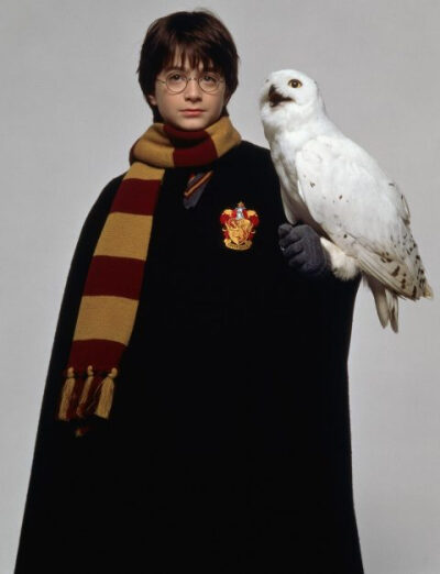 HP
