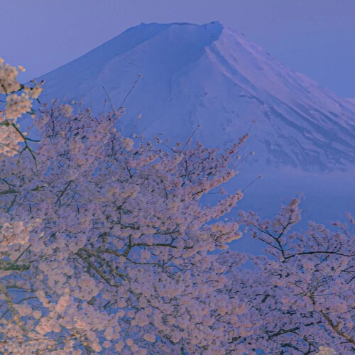 汐の特别喜欢