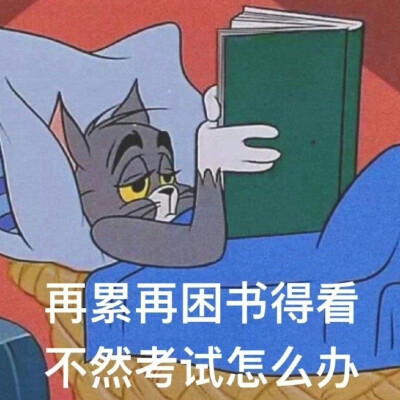 学习表情包