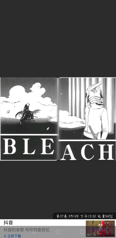 bleach