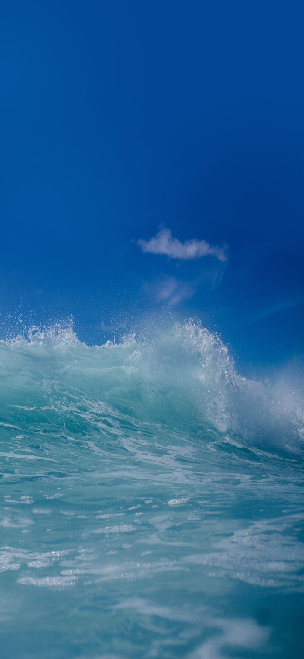 海