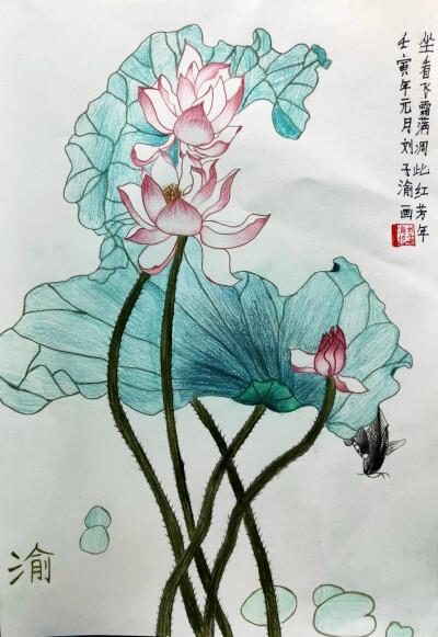 彩铅荷花艺彩时光