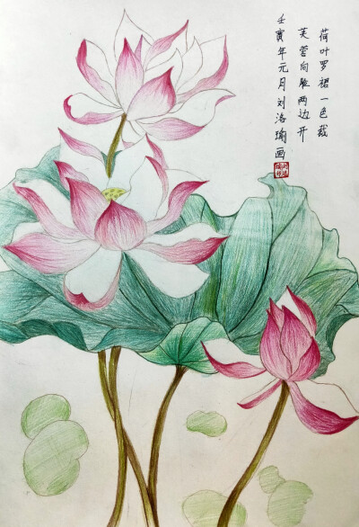 彩铅荷花艺彩时光