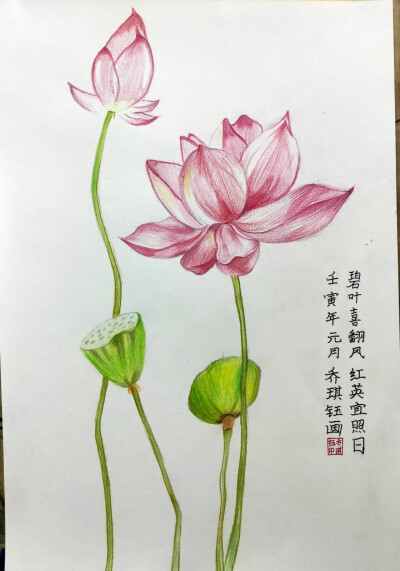 彩铅荷花艺彩时光