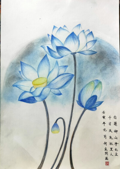 彩铅荷花艺彩时光