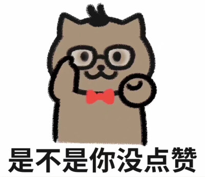 猫猫表情包
qq空间