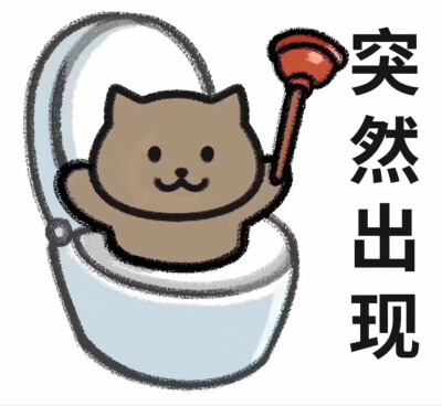 猫猫表情包
qq空间