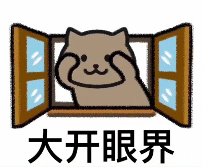 猫猫表情包
qq空间