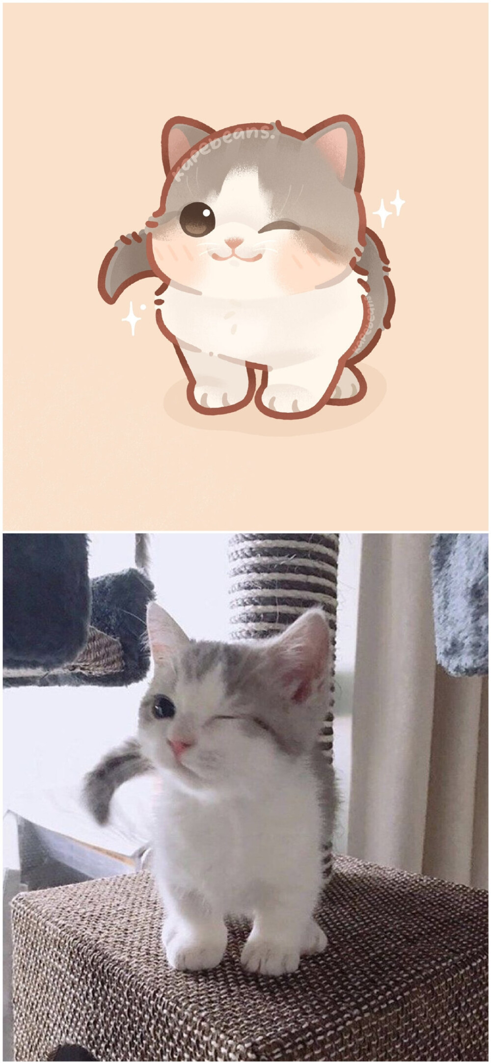 画师kapebeans笔下的猫猫，太可爱了
#插画##可爱##猫咪头像#