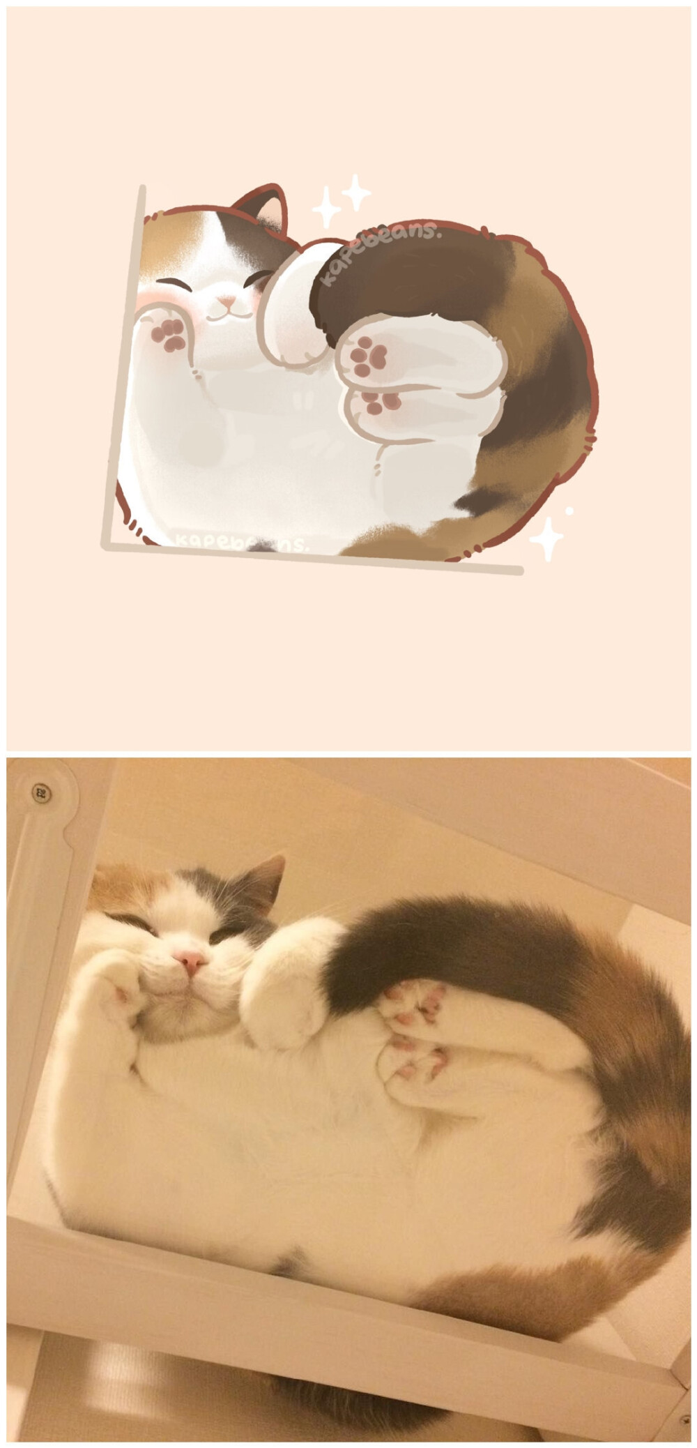画师kapebeans笔下的猫猫，太可爱了
#插画##可爱##猫咪头像#