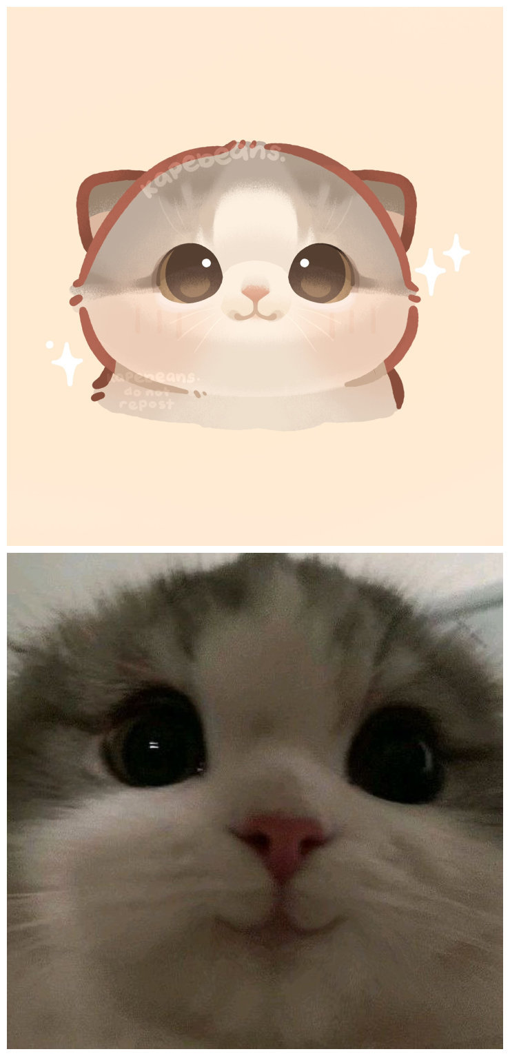 画师kapebeans笔下的猫猫，太可爱了
#插画##可爱##猫咪头像#
