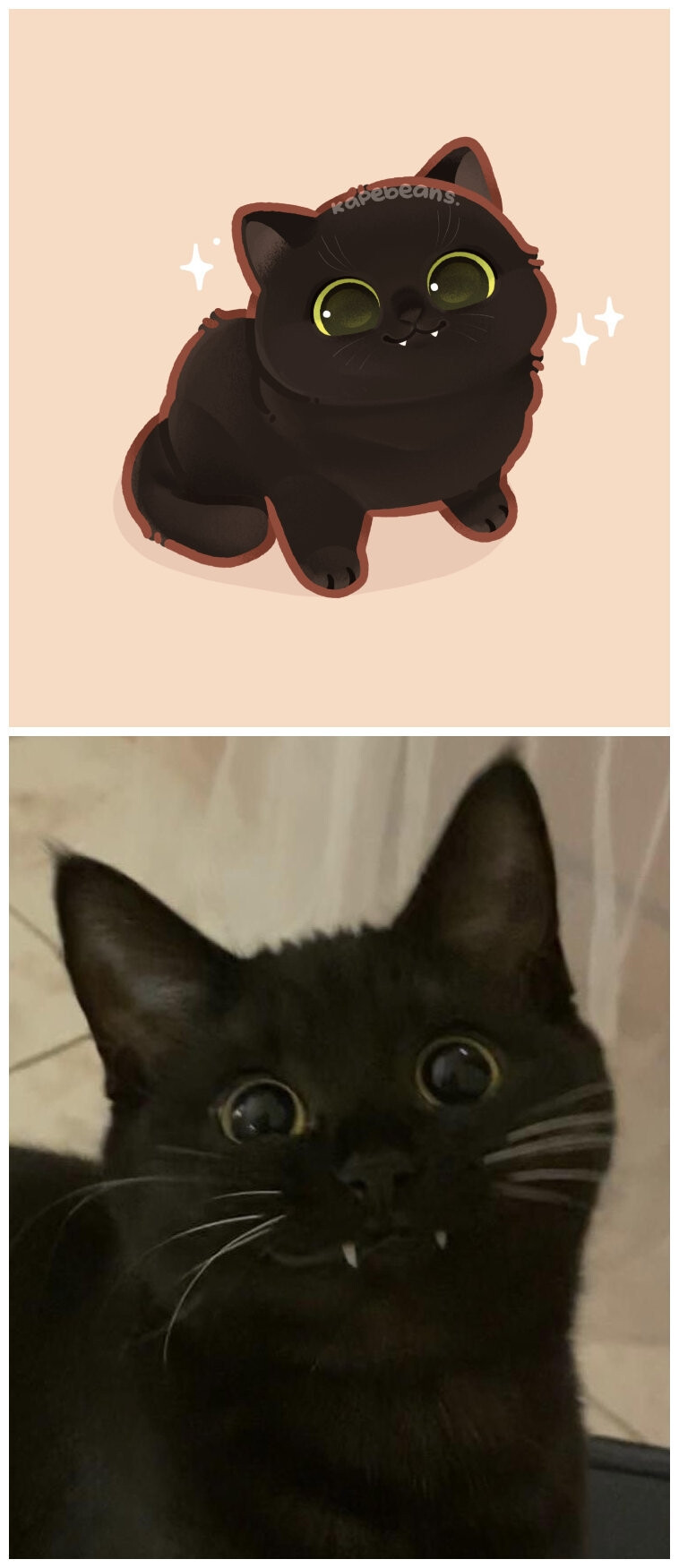 画师kapebeans笔下的猫猫，太可爱了
#插画##可爱##猫咪头像#