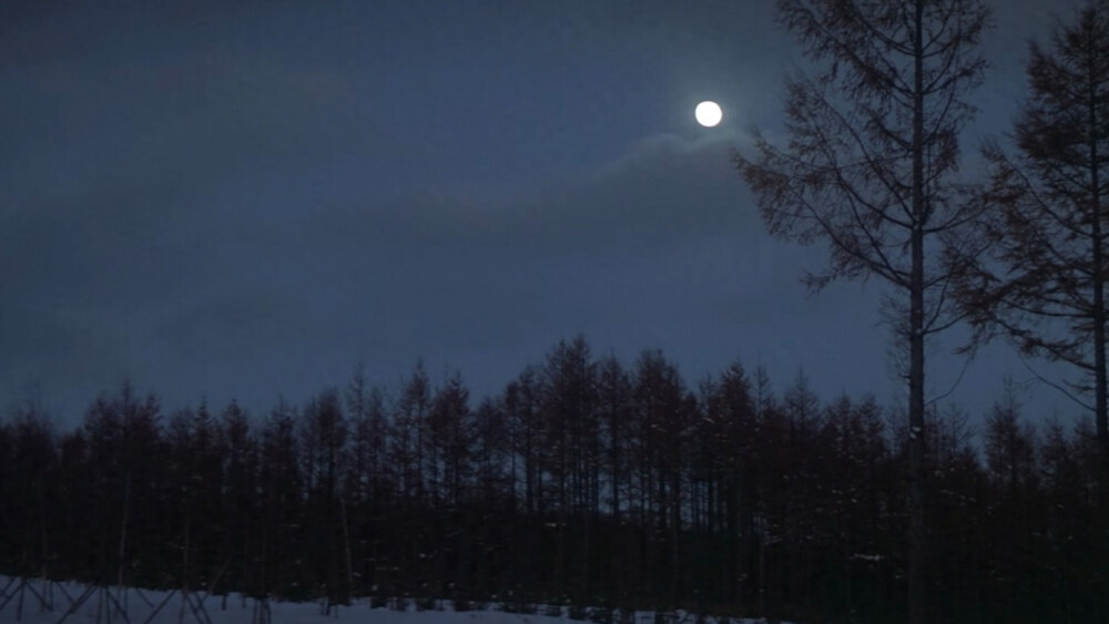 橙光素材
//夜景 雪景 森林