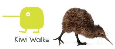 Kiwi Walks几维鸟
Suyoung为自己的工作室起名叫Kiwi Walks。kiwi（几维）是新西兰的国鸟，现存数量很少，不会飞，但走路的样子深得Suyoung喜欢。kiwi还代表了另一种濒临灭绝的东西：买断制手游。
