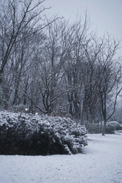 ⠀ ⠀ ⠀ ⠀ ⠀
❄
“听说你也喜欢下雪天”
#风景壁纸##小清新壁纸##摄影壁纸# ​