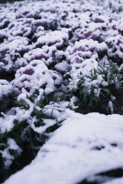 ⠀ ⠀ ⠀ ⠀ ⠀
❄
“听说你也喜欢下雪天”
#风景壁纸##小清新壁纸##摄影壁纸# ​