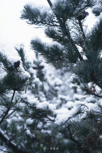 ⠀ ⠀ ⠀ ⠀ ⠀
❄
“听说你也喜欢下雪天”
#风景壁纸##小清新壁纸##摄影壁纸# ​