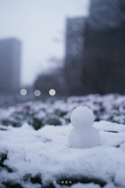 ⠀ ⠀ ⠀ ⠀ ⠀
❄
“听说你也喜欢下雪天”
#风景壁纸##小清新壁纸##摄影壁纸# ​