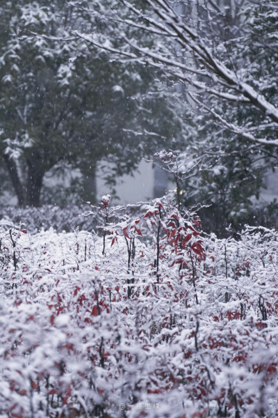 ⠀ ⠀ ⠀ ⠀ ⠀
❄
“听说你也喜欢下雪天”
#风景壁纸##小清新壁纸##摄影壁纸# ​