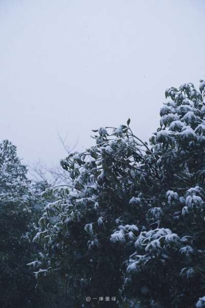 ⠀ ⠀ ⠀ ⠀ ⠀
❄
“听说你也喜欢下雪天”
#风景壁纸##小清新壁纸##摄影壁纸# ​