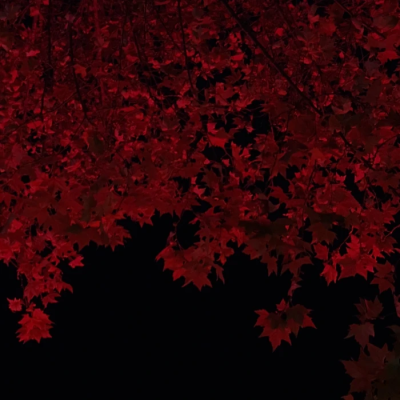  贤 你恨他 但你还是会爱他