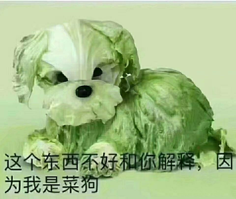 搞笑女罢了