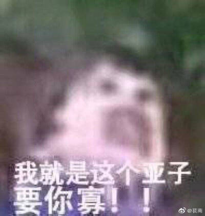 搞笑女罢了