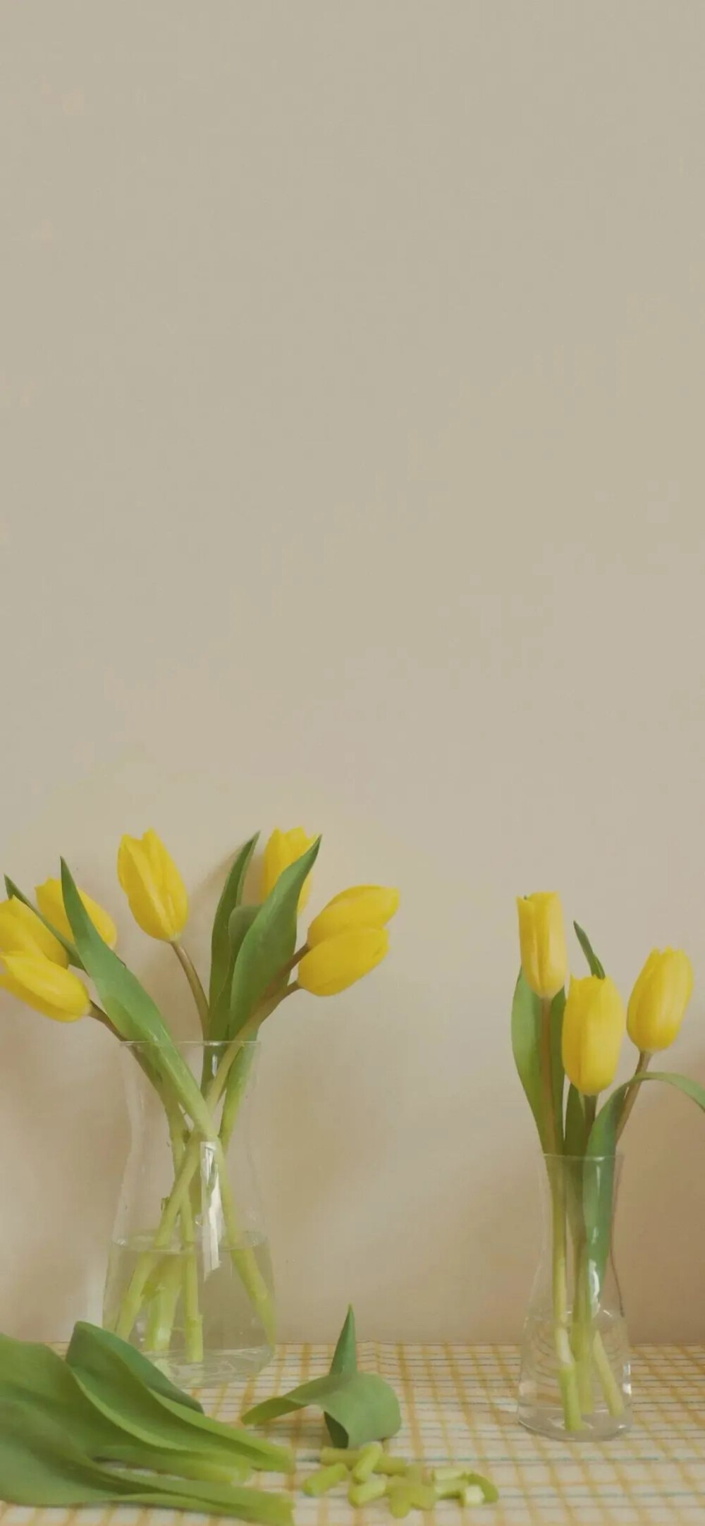 壁纸