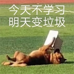 学习表情包