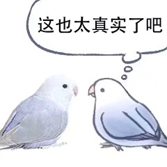 鹦鹉表情包