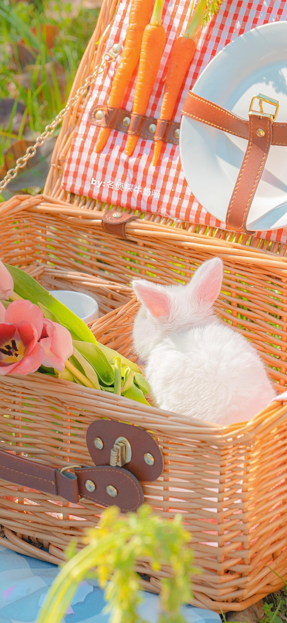 背景图 粉色渐变兔子可爱