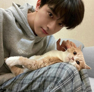 ᴸⁱᵛᵉ ᵃ ᵍᵒᵒᵈ ˡⁱᶠᵉ ᵃⁿᵈ ᵐᵉᵉᵗ ˢˡᵒʷˡʸ.| 








男头
©菟丝花-