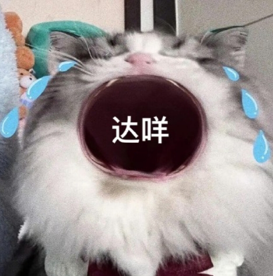 大嘴猫