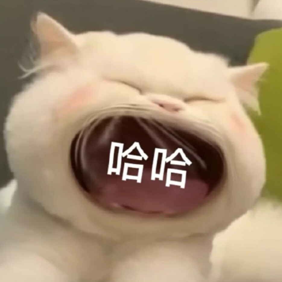 大嘴猫