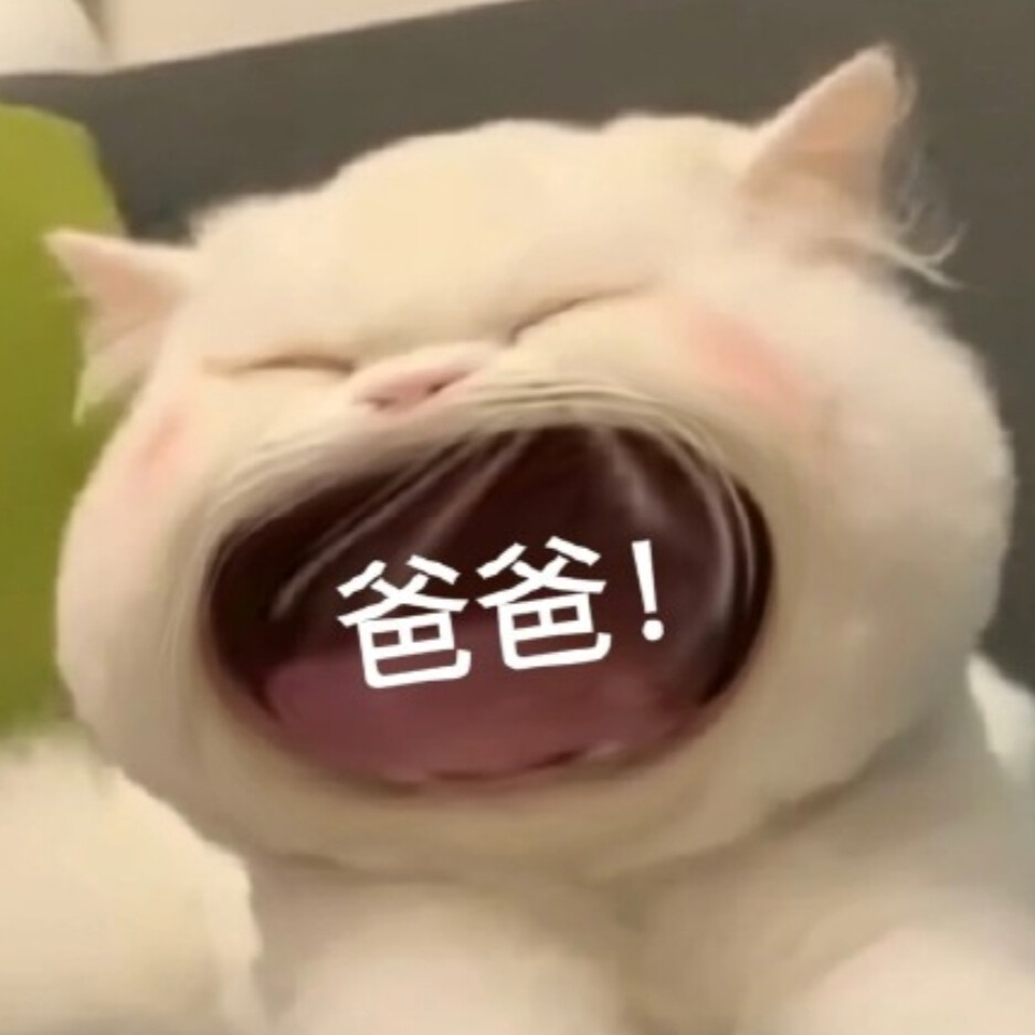 大嘴猫表情包