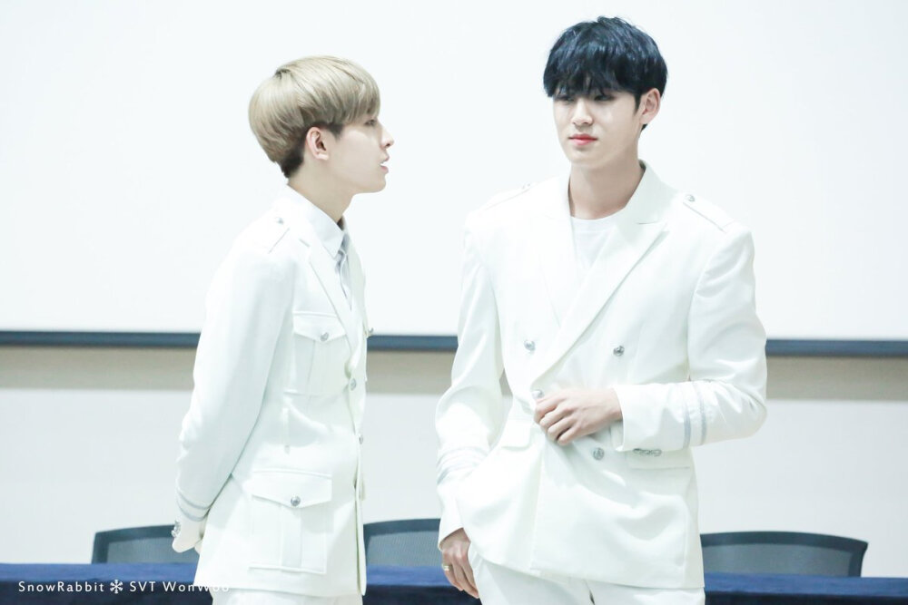 WONWOO MINGYU