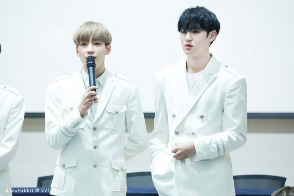 WONWOO MINGYU