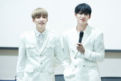 WONWOO MINGYU