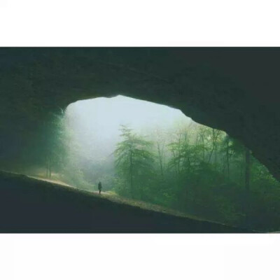 你给生活意境，生活才能给你风景
"杂图"