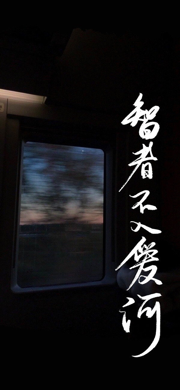 手机壁纸 智者不入爱河