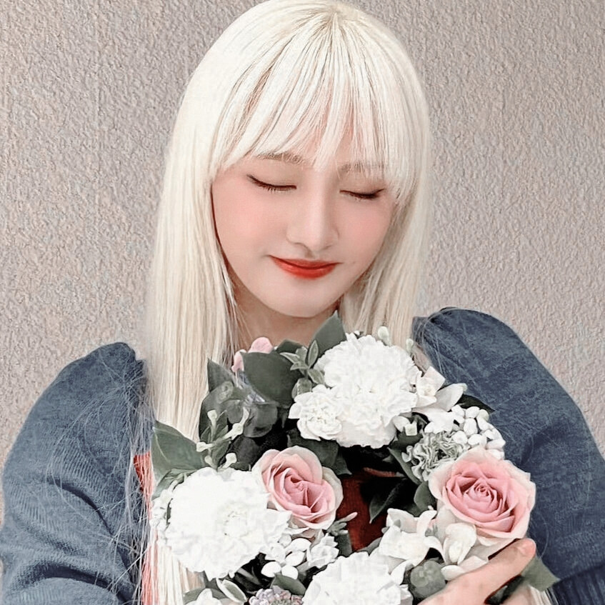 夜雨把窗台的玫瑰折断