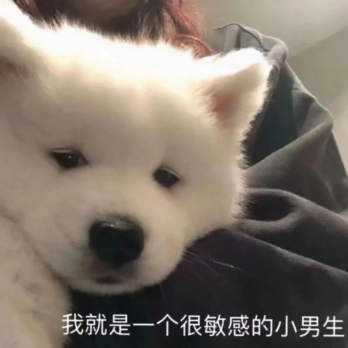 宝，我给你送表情包来了