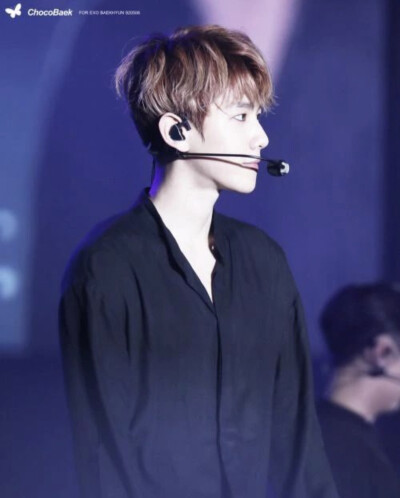 边伯贤/伯贤+看着你微笑，有一道光芒，打在我身上，像一种魔法，是你无心布下的爱情圈套