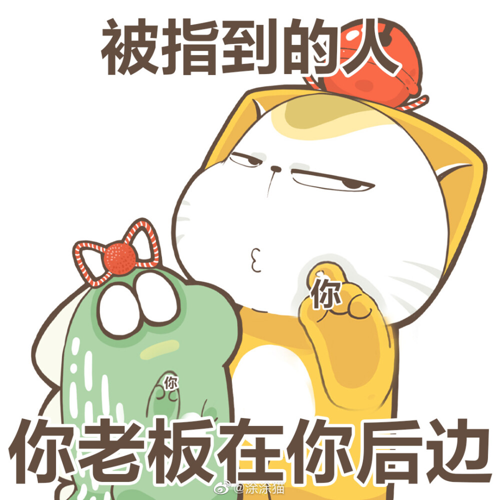 涂涂猫